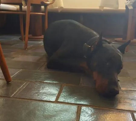 Hotel Albergo Centrale 3*