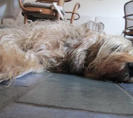 Hotel Albergo Centrale