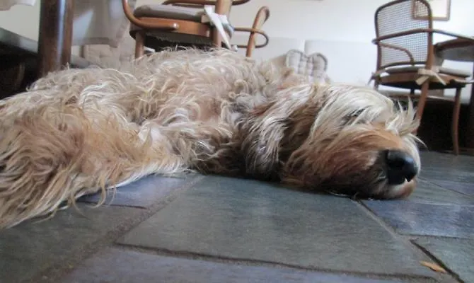 Отель Albergo Centrale